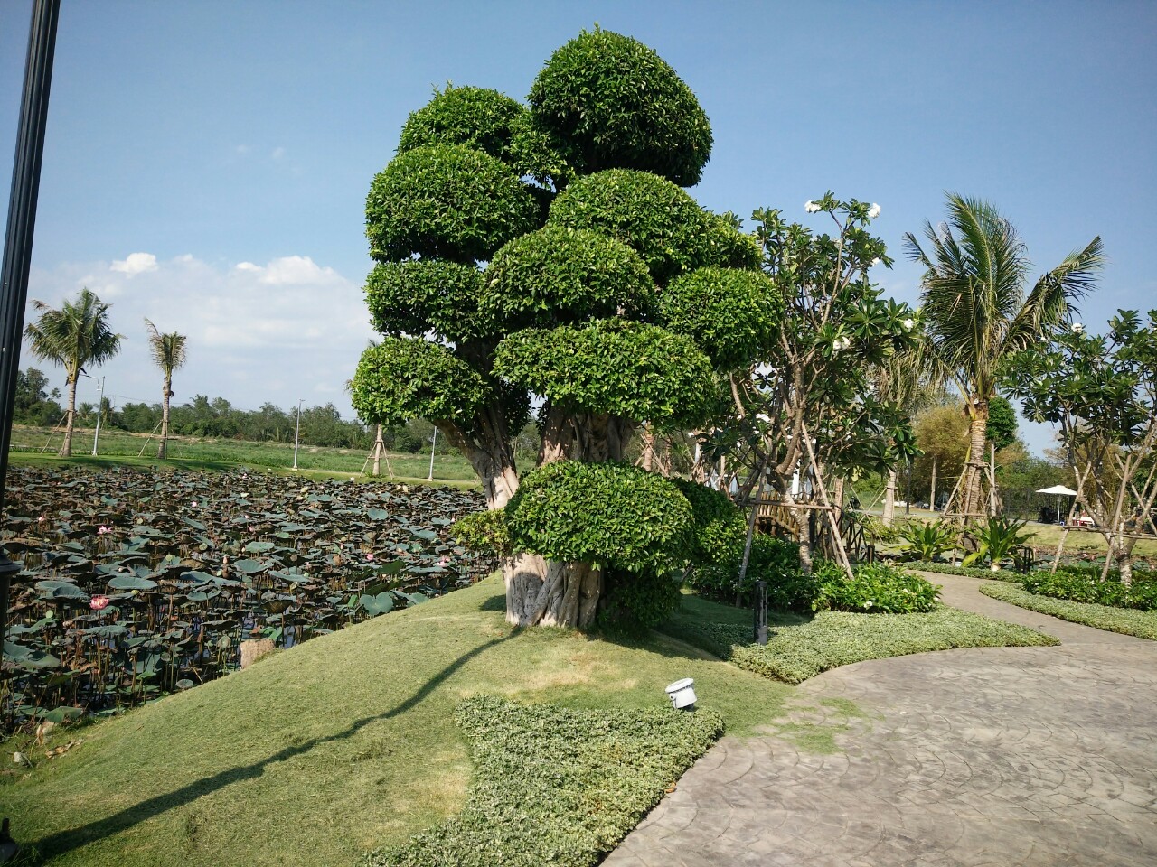 cảnh quan Biệt thự Saigon Garden